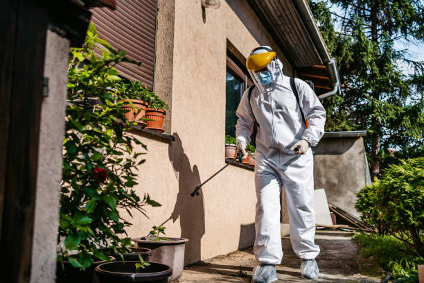 Flea Control Services in Elmira, NY