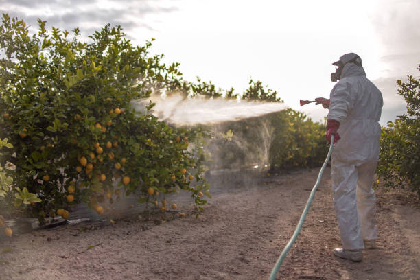 Best Commercial Pest Control Services  in Elmira, NY